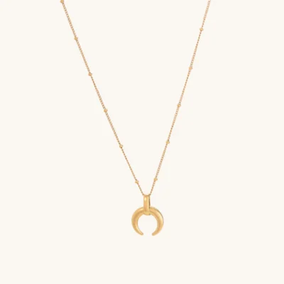Tiny Horn Necklace